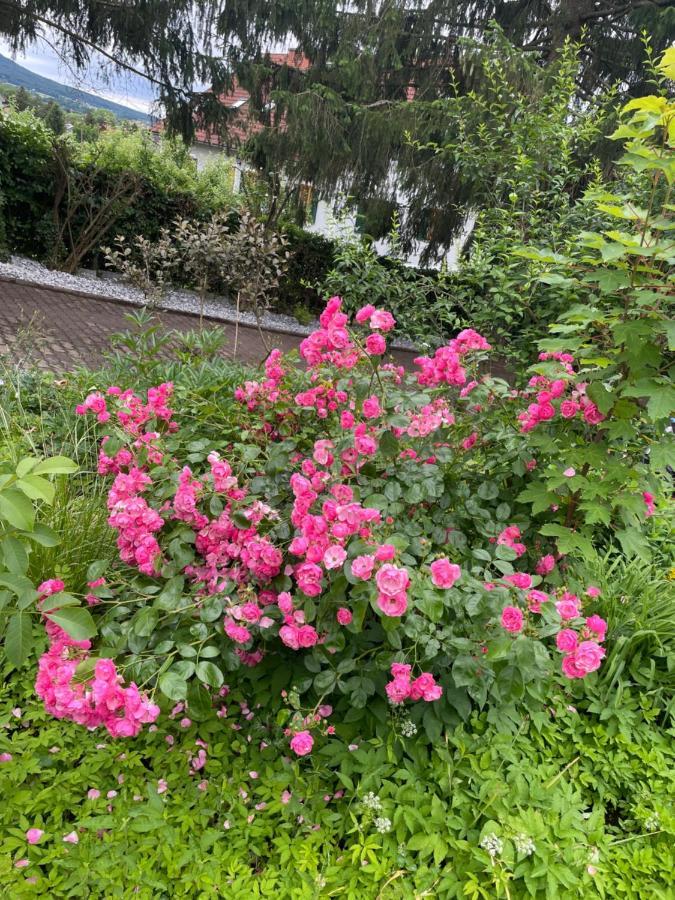 Freiblick 1 Bad Glbg m. Whirlpool u. Garten_Top1 Bad Gleichenberg Exterior foto